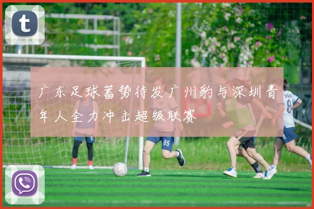 广东足球蓄势待发广州豹与深圳青年人全力冲击超级联赛