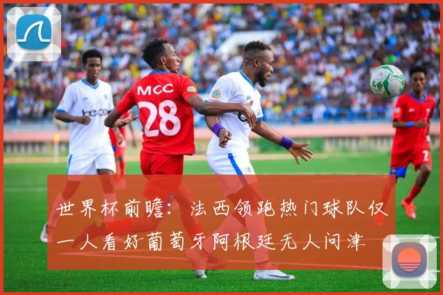 世界杯前瞻：法西领跑热门球队仅一人看好葡萄牙阿根廷无人问津