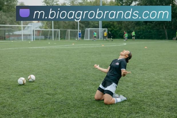 九游体育官网网页入口品牌故事
